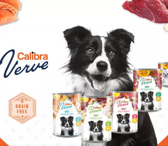 New Calibra Dog Verve canned food