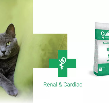 Calibra VD Cat Renal & Cardiac for cats