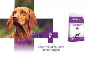 VD Ultra Hypoallergenic Insect Protein for dogs