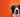 How To Change Your Dog's Food