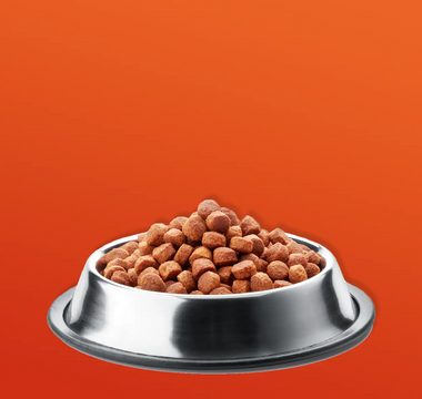 What is Hypoallergenic Dog Food?