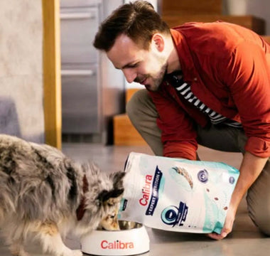 A man feeding a dog Calibra dog food