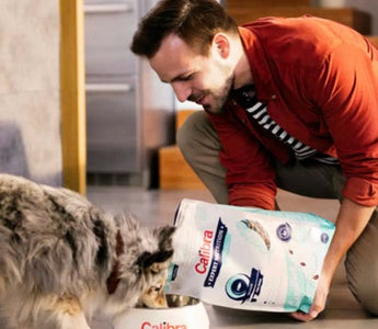A man feeding a dog Calibra dog food