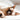 Struvite And Urinary Health In Cats: How Diet And Water Intake Work Together