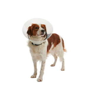 BUSTER Collar Clic for Dogs